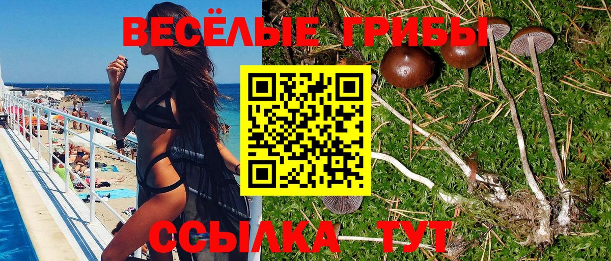 Псилоцибиновые грибы ЛСД  Псилоцибиновые грибы Psilocybine cubensis  Карталы  Вход с VPN 