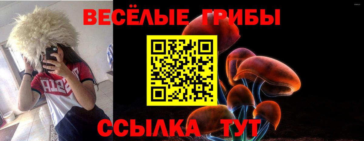 Галлюциногенные грибы прущие грибы Карталы