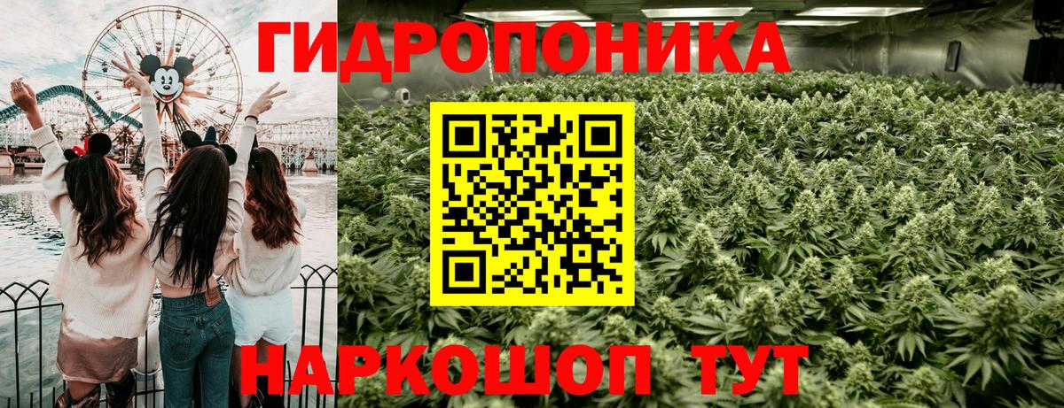 Бошки Шишки конопля  Конопля конопля  Карталы  Вход с VPN  Бошки Шишки Bruce Banner 